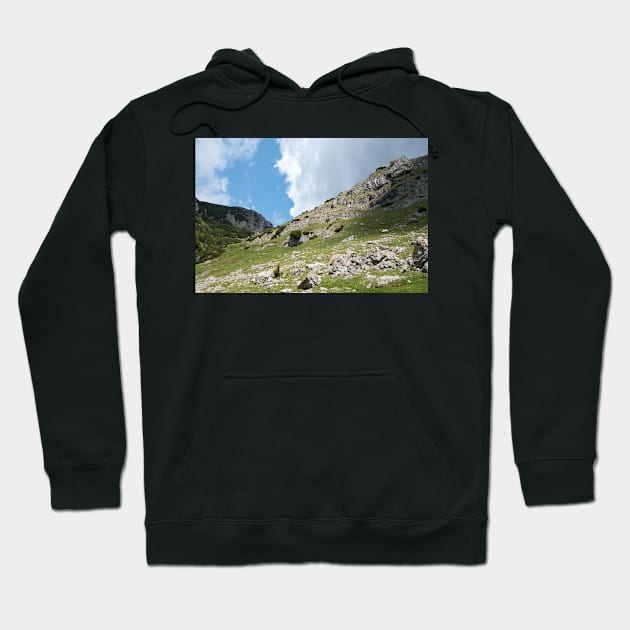 View from Bucegi mountains, Romania, Bucegi National Park Hoodie by NxtArt